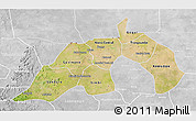 Satellite 3D Map of Nioro, lighten, desaturated