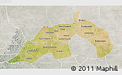 Satellite 3D Map of Nioro, lighten, semi-desaturated