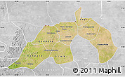 Satellite Map of Nioro, lighten, desaturated