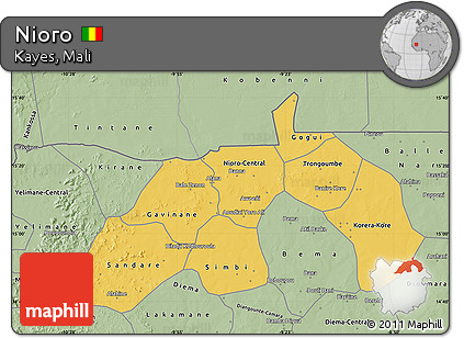 Savanna Style Map of Nioro