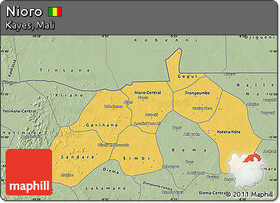 Savanna Style Map of Nioro
