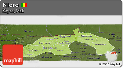 Physical Panoramic Map of Nioro, darken