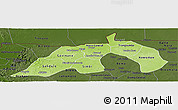 Physical Panoramic Map of Nioro, darken