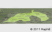 Physical Panoramic Map of Nioro, darken, semi-desaturated