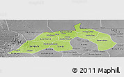 Physical Panoramic Map of Nioro, desaturated
