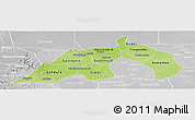 Physical Panoramic Map of Nioro, lighten, desaturated