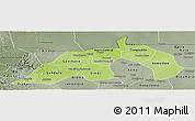 Physical Panoramic Map of Nioro, semi-desaturated