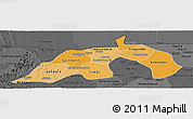 Political Shades Panoramic Map of Nioro, darken, desaturated