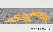 Political Shades Panoramic Map of Nioro, desaturated