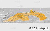 Political Shades Panoramic Map of Nioro, lighten, desaturated
