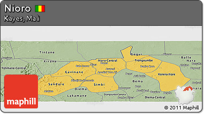 Savanna Style Panoramic Map of Nioro