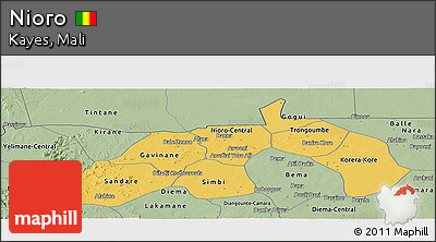 Savanna Style Panoramic Map of Nioro
