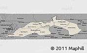 Shaded Relief Panoramic Map of Nioro, darken, desaturated