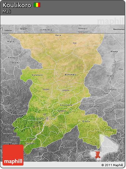 Satellite 3D Map of Koulikoro, desaturated