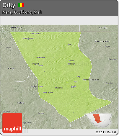 Physical 3D Map of Dilly, semi-desaturated