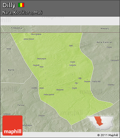 Physical 3D Map of Dilly, semi-desaturated