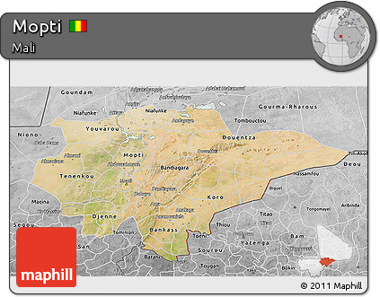 Satellite 3D Map of Mopti, desaturated