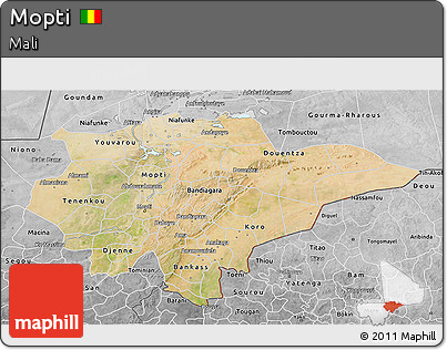 Satellite 3D Map of Mopti, desaturated