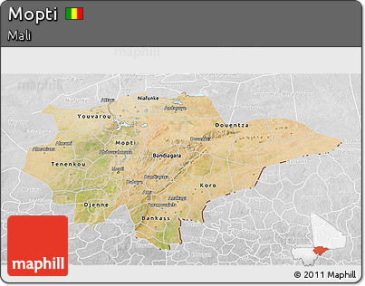 Satellite 3D Map of Mopti, lighten, desaturated
