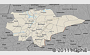 Shaded Relief 3D Map of Mopti, darken, desaturated