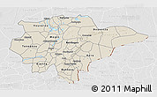 Shaded Relief 3D Map of Mopti, lighten, desaturated