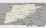 Shaded Relief Panoramic Map of Bandiagara, darken, semi-desaturated