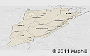 Shaded Relief Panoramic Map of Bandiagara, lighten, desaturated