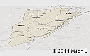 Shaded Relief Panoramic Map of Bandiagara, lighten, semi-desaturated