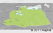 Physical 3D Map of NGouma, desaturated