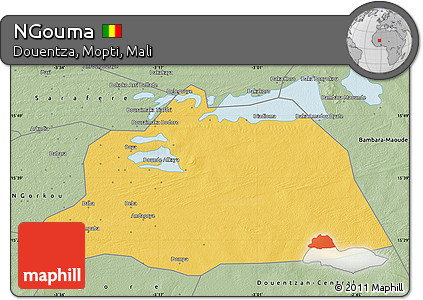 Savanna Style Map of NGouma