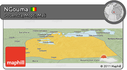 Savanna Style Panoramic Map of NGouma