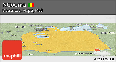 Savanna Style Panoramic Map of NGouma