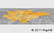 Political Shades Panoramic Map of Mopti, desaturated