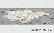 Shaded Relief Panoramic Map of Mopti, darken, desaturated