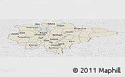 Shaded Relief Panoramic Map of Mopti, lighten, desaturated