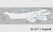 Gray Panoramic Map of Youvarou
