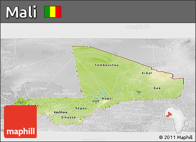 Physical Panoramic Map of Mali, lighten, desaturated