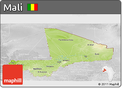 Physical Panoramic Map of Mali, lighten, desaturated