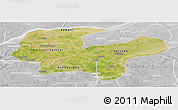 Satellite Panoramic Map of Baraoueli, lighten, desaturated