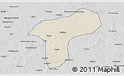 Shaded Relief 3D Map of Sanando, desaturated