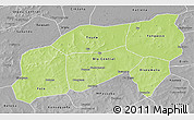 Physical 3D Map of Bla, desaturated