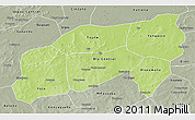 Physical 3D Map of Bla, semi-desaturated