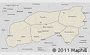 Shaded Relief 3D Map of Bla, desaturated