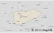 Shaded Relief 3D Map of Bla-Central, desaturated