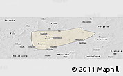 Shaded Relief Panoramic Map of Bla-Central, desaturated