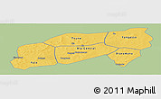 Savanna Style Panoramic Map of Bla, single color outside