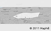 Gray Panoramic Map of Touna