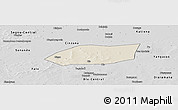 Shaded Relief Panoramic Map of Touna, desaturated
