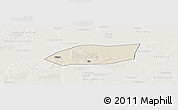 Shaded Relief Panoramic Map of Touna, lighten