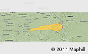 Savanna Style Panoramic Map of Mafoune